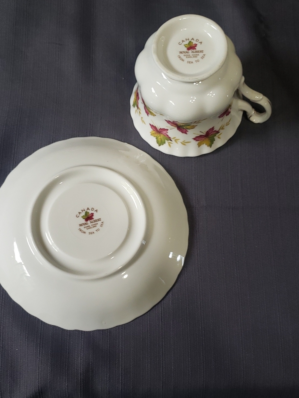 ROYAL ALBERT "FROM SEA TO SEA" CANADA FOOTED CUP & SAUCER - Picture 3 of 5